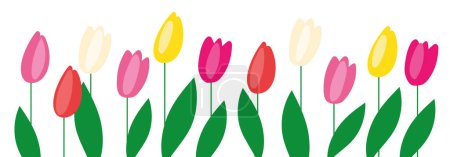 Foto de Banner blanco horizontal o telón de fondo floral decorado con flores multicolores tulipanes y hojas borde - Imagen libre de derechos