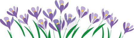 Foto de Bandera blanca horizontal o fondo de azafrán floral decorado con flores de color púrpura y bordes de hojas - Imagen libre de derechos