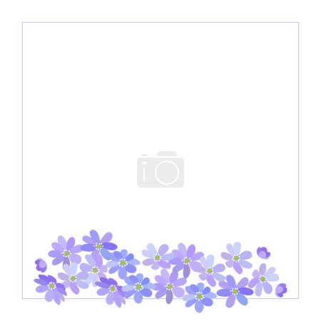 Border of blue spring blooming wild forest flowers Hepatica isolated on white background