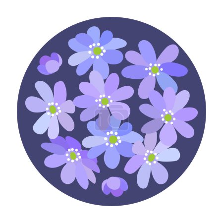 Foto de Pequeño ramo de flores del bosque salvaje de primavera violeta azul Hepatica en un círculo - Imagen libre de derechos