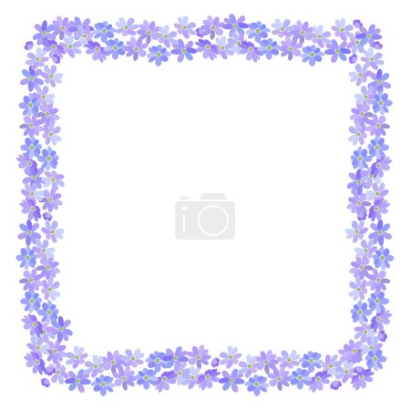 Téléchargez les photos : Liverwort belle élégante bannière de fleurs de printemps vibrantes violettes bleues et bordure isolée sur fond blanc - en image libre de droit