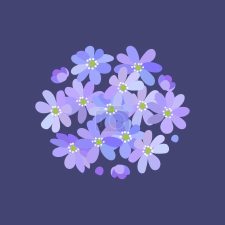 Foto de Pequeño ramo de flores silvestres florecientes de primavera violeta azul Hepatica sobre fondo cuadrado azul oscuro - Imagen libre de derechos