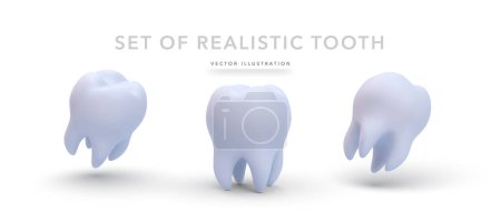 Conjunto de dientes realistas 3d aislados sobre fondo blanco. Ilustración vectorial