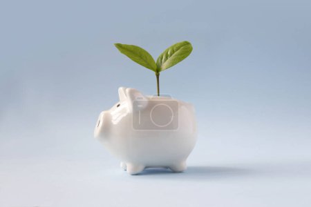 Photo for Concept financial growth still life piggy bank on coloured background. - Royalty Free Image