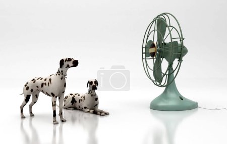 Téléchargez les photos : Dalmatiens chiens avec un ventilateur - en image libre de droit