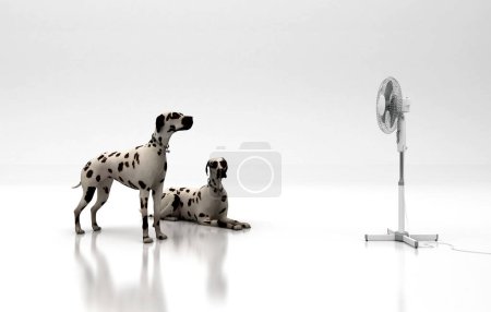 Photo for Dalmatians dogs with a fan - Royalty Free Image