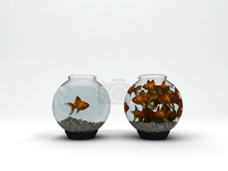 Foto de Tazón de vidrio con pescado - Imagen libre de derechos