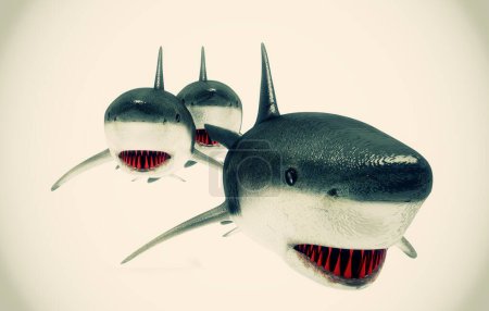 Foto de 3 d representación del tiburón aislado sobre fondo blanco - Imagen libre de derechos