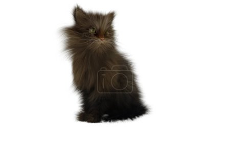 Foto de 3 d representación de un gato negro sobre un fondo blanco - Imagen libre de derechos