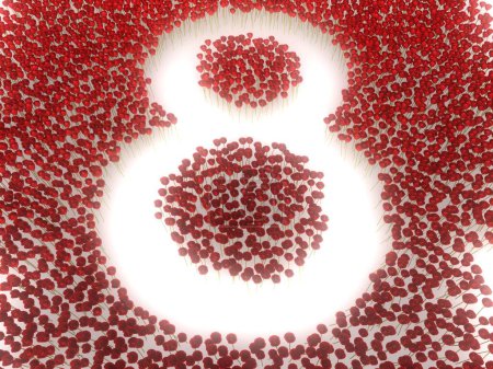Photo for Number 8 made of red flowers. - Royalty Free Image