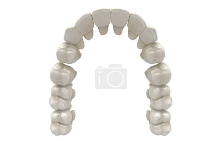 Téléchargez les photos : 3 d rendu des dents isolé sur fond blanc - en image libre de droit