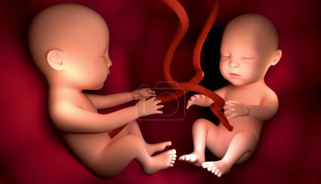 Téléchargez les photos : Foetus humain semaine 3 d illustration, rendu 3 d - en image libre de droit
