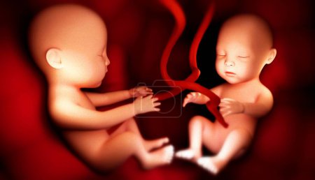 Photo for Human fetus week 3 d illustration, 3 d render - Royalty Free Image