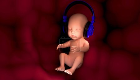 Foto de Feto humano semana 3 d ilustración, 3 d renderizado, bebé en auriculares - Imagen libre de derechos