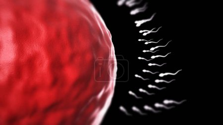 Photo for Sperm. vector illustration of sperm. - Royalty Free Image
