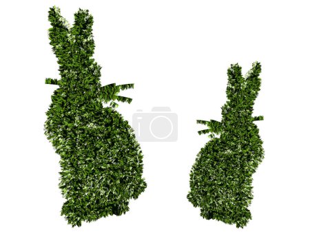 Téléchargez les photos : Illustration 3 d de l'herbe de lapin vert isolée sur fond blanc - en image libre de droit