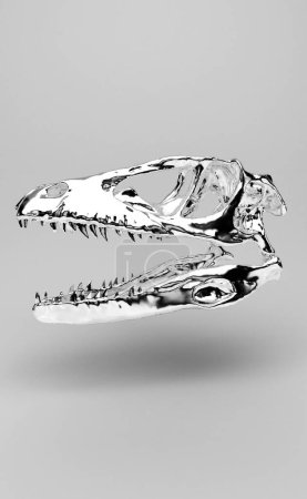 Photo for Silver 3 d rendering of a skeleton skull on a white background - Royalty Free Image