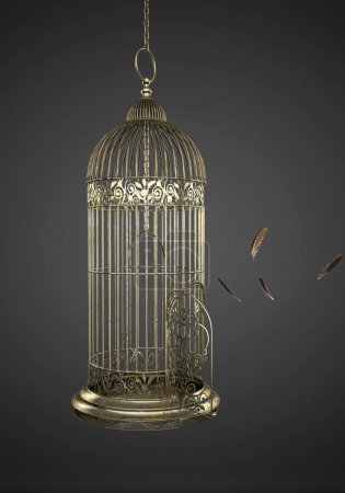 Téléchargez les photos : Cage à oiseaux en métal vide, oiseaux en liberté - en image libre de droit