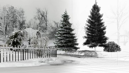 Foto de Paisaje invernal con árboles y renos - Imagen libre de derechos