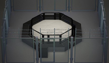 Téléchargez les photos : Cage octogone avec filet pour le combat mma, rendu 3d - en image libre de droit