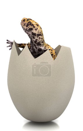 Foto de Huevo de reptil, aislado sobre fondo blanco - Imagen libre de derechos