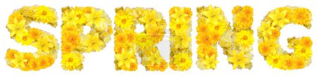Foto de Palabra primavera con flores amarillas - Imagen libre de derechos