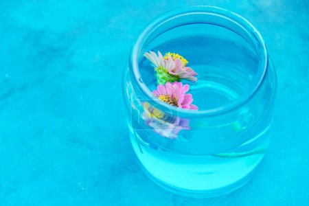 Téléchargez les photos : Fleurs annuelles de zinnia vibrantes sur fond de texture avec espace de copie pour la fête des mères. - en image libre de droit