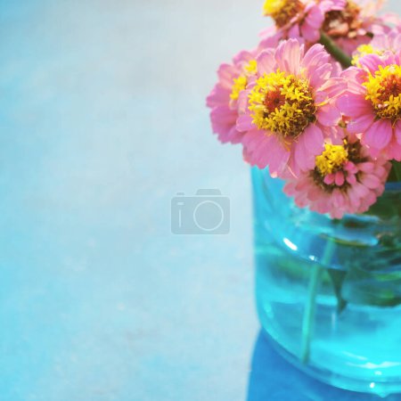 Téléchargez les photos : Zinnia fleurs du jardin, isolé avec espace de copie pour la fête des mères - en image libre de droit