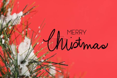 Téléchargez les photos : Carte de voeux de Noël. joyeux noël lettrage sur fond rouge avec branche d'arbre de Noël enneigée - en image libre de droit