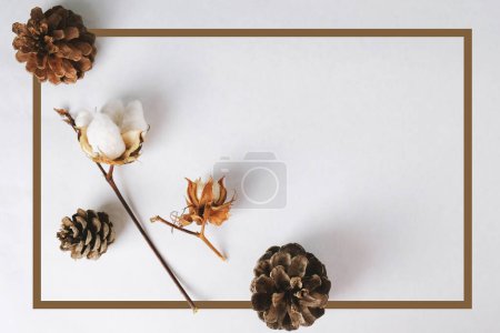 Photo for Fall background with cotton branch and pine cones - Royalty Free Image