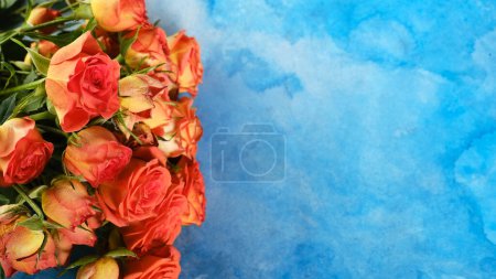 Foto de Rosas de coral sobre fondo azul acuarela - Imagen libre de derechos