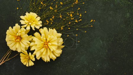 Téléchargez les photos : Beautiful yellow flowers on dark background - en image libre de droit