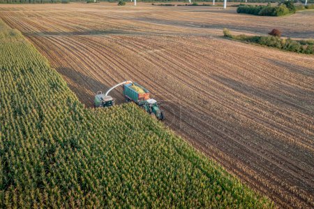 Téléchargez les photos : Récolteuse de fourrage sur la coupe de maïs pour l'ensilage dans le champ. Récolte de biomasse. Travail de moissonneuse-batteuse sur la saison de récolte. - en image libre de droit