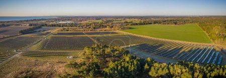 Photo for Panorama view of environmentally friendly installation of photovoltaic power plant near seaside. Photovoltaic panels on open spaces. Renewable green energy. Alternative energy sources.Clean energy. - Royalty Free Image