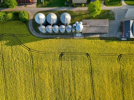 Aerial top down view of landscape with yellow rapeseed field and an agricultural silo. View of agricultural factory, yellow green field in the countryside.Modern steel agricultural grain granary silo