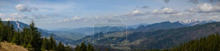 Panoramic view of a forest with coniferous trees, snow-capped peaks of the Carpathian Mountains, and a village nestled in the valley.