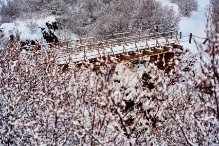 Winterszene mit einer schneebedeckten einsamen Holzbrücke inmitten frostiger Sträucher und Bäume. Ort: Hraunfossar, Island.