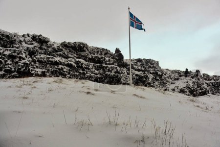 Icelandic flag waving on a snowy landscape with rocky terrain in the background. Location: Thingvellir National Park, Iceland.