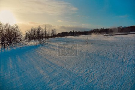 Winter landscape with sun casting shadows on the textured snow, bare trees, and clear blue sky. Location: Strokkur Geyser, Iceland.