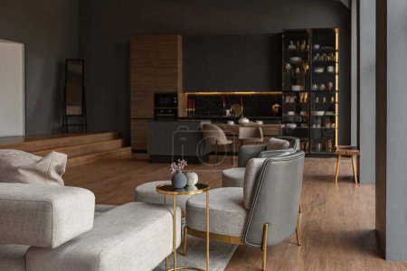 Téléchargez les photos : Chic modern design of a dark expensive interior of a luxurious cozy apartment - en image libre de droit