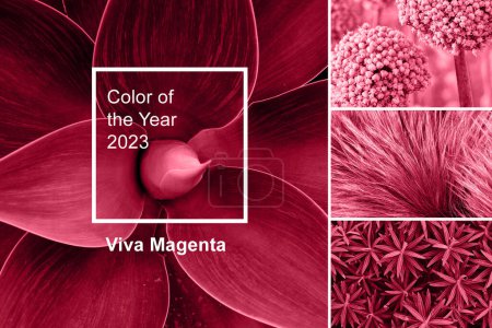 Photo for Trendy color of year 2023 - Viva Magenta. Fashion color palette sample. Abstract floral pattern swatch colors collage. Viva Magenta - Royalty Free Image