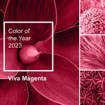 Trendy color of year 2023 - Viva Magenta. Fashion color palette sample. Abstract floral pattern swatch colors collage. Viva Magenta