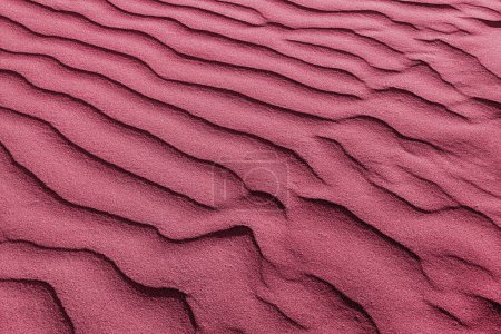 Téléchargez les photos : Vagues de dunes de sable à la surface. Gros plan sur la plage de sable des dunes en été. Tonique par couleur tendance de l'année 2023 Viva Magenta - en image libre de droit
