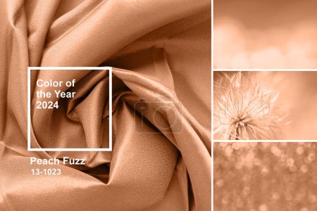 Peach fuzz is color of year 2024. Multiple textures in collage toned in fashion blended pink-orange trend-setting colour of year Peach Fuzz