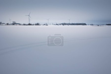 Photo for Minimalistic winter image of the snowfield 2023 - Royalty Free Image
