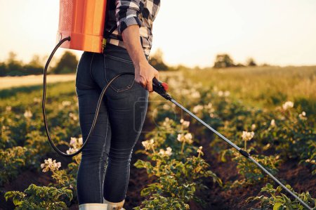 Vue arrière de la femme qui utilise un équipement pour saupoudrer la pomme de terre sur le champ agricole le jour.
