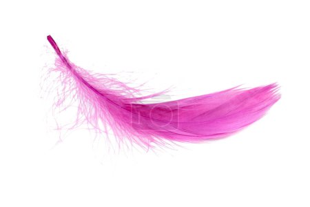 Téléchargez les photos : Elégante plume colorée isolée sur le fond blanc - en image libre de droit