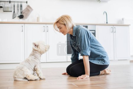 Señorita atenta y perro de tamaño mediano tranquilo sentados uno frente al otro en el piso del apartamento estudio. Propietario amigable mascota mantener contacto visual con su amigo canino durante la sesión de entrenamiento en casa.