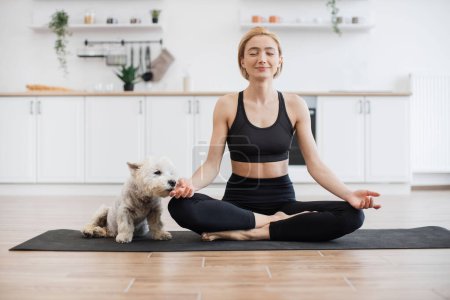 Relaxed lady in black clothes exercising half lotus pose with fingers in gyan mudra while curious terrier sitting on yoga mat. Athletic blonde woman meditating together with furry friend at home.