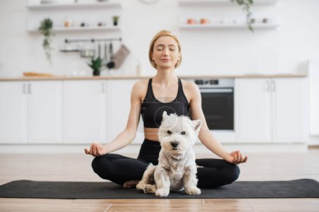 Photo for Full length view of West Highland White Terrier resting on rubber mat while charming fit lady doing yoga behind. Calm pet lover achieving Padmasana with gyan mudra while cute dog finding comfort. - Royalty Free Image